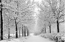 Winter Wallpaper Korea by Korea Winter Wallpapers Top Free Korea Winter Winter Wallpaper Korea