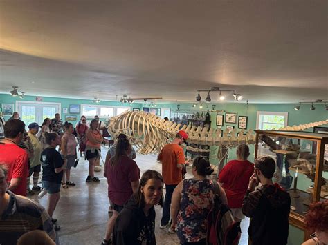 Oceanarium and Education Center - Downeast Horizons