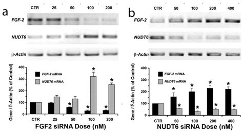 Genes | Special Issue : RNA Interference
