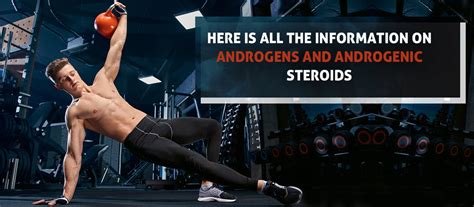 Here Is All The Information On Androgens And Androgenic Steroids ...