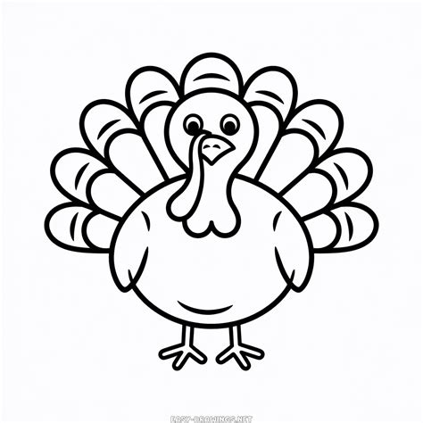 Turkey bird Easy Drawing | Easy Drawings