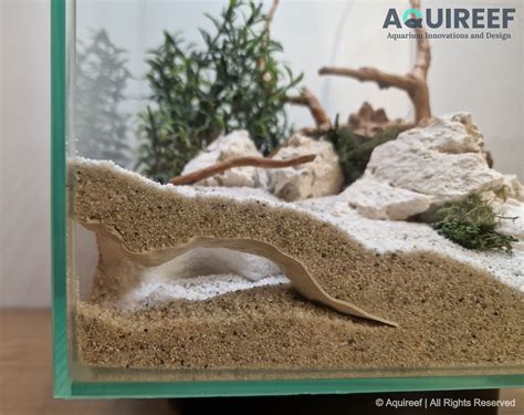 🐠 Printable Aquarium & Terrarium Corner Cave Sea Flow | Fish Tank ...