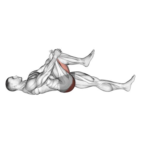Quadratus Lumborum: 4 Exercises and 4 Stretches - Inspire US