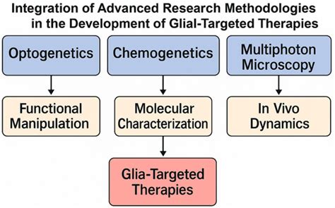 Diversity, Functional Complexity, and Translational Potential of Glial ...