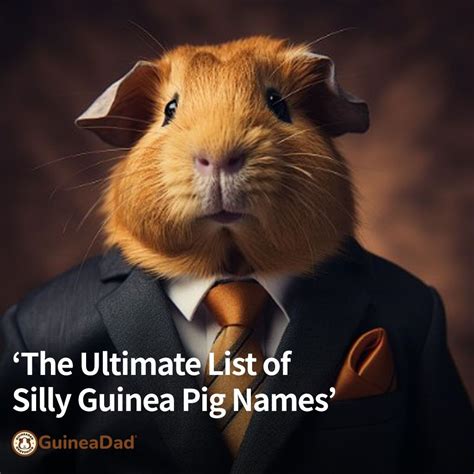 The Ultimate List of Funny Guinea Pig Names | GuineaDad | Guinea pigs ...