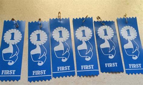 School Champs! – Riverside Swimming Club