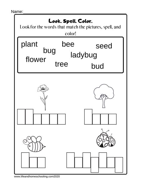 Kindergarten Spelling Worksheet | Made By Teachers
