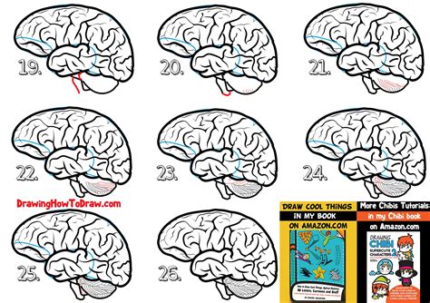 How to draw a human brain easy steps drawing lesson for beginners – Artofit