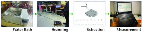 Image result for 3D Optical Scanning Forensics