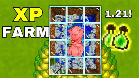 Image result for Armadillo Farm for Exp Java