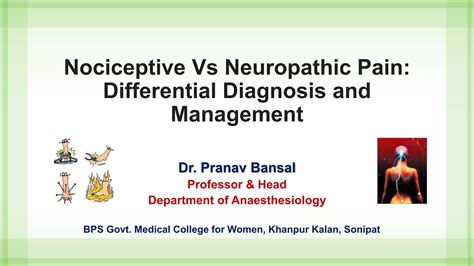 Neuropathic pain vs nociceptive pain | PPTX