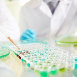 Padmashree Institute of Management & Sciences Autonomous | Kommaghatta