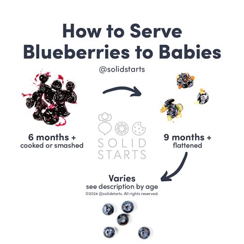 When Can Babies Eat Blueberries? - Solid Starts