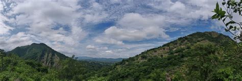 Everything You Need to Know About Visiting Polo Forest