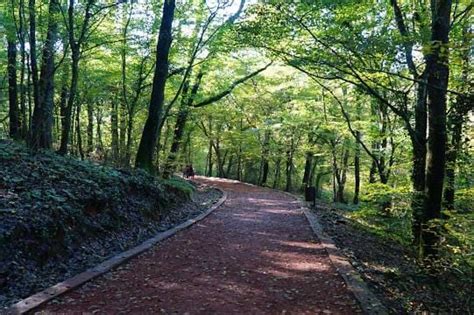 Top 15 Offbeat Places in Istanbul: Dive into Istanbul’s Secret Sanctuaries