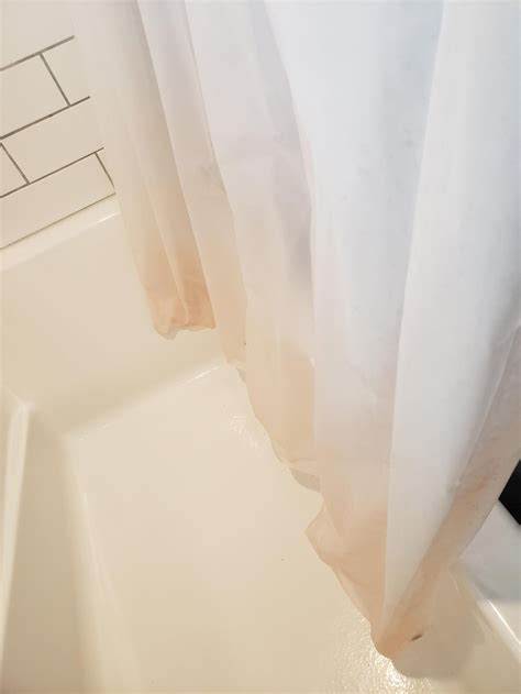 How to Clean Pink Mildew from Shower Curtain: Easy Tricks!