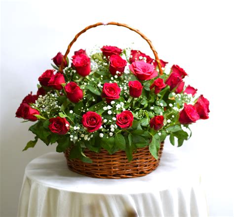 IBBANI Flowers