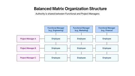 Balanced Matrix Organizational Structure 的图像结果