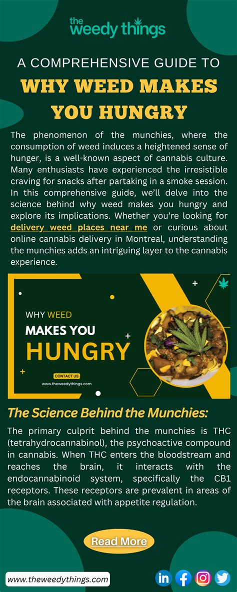 Why Does Weed Make You Hungry