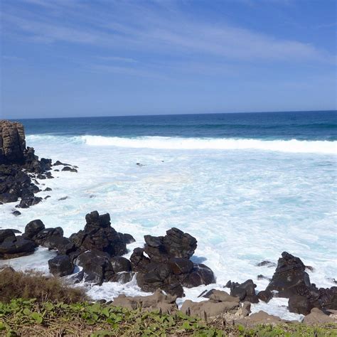 ÎLE DE NGOR (2025) All You Need to Know BEFORE You Go (with Photos ...