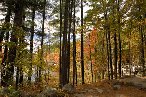 Maine Campground Acres of Wildlife Boosts Online Bookings and ...