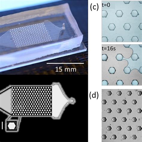 Microfluidic Chip 的图像结果