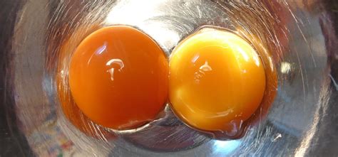 18 Siri Commands Every iPhone Owner Should Know