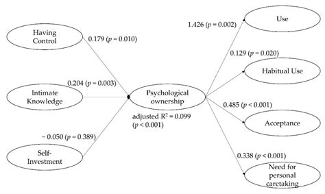 Contextualized Measurement Scale Adaptation: A 4-Step Tutorial for ...