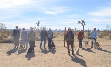 Group Basic Obedience Classes, 3070 Yucca Mesa Rd, Yucca Valley, CA ...