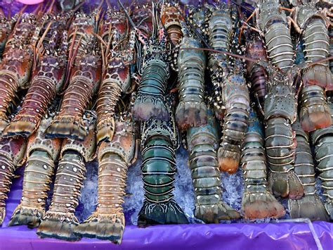 Is There a Season for Lobster? A Complete Guide to This Delicious ...