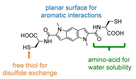 Pyrroloindole-Based Dynamic Combinatorial Chemistry