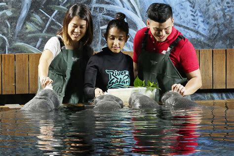 6 Mind-blowing Experiences At River Safari Singapore