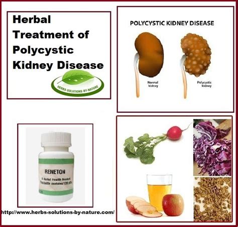 kidney disease treatment dogs