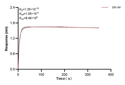 SLC9A3/NHE3 antibody (83832-2-PBS) | Proteintech