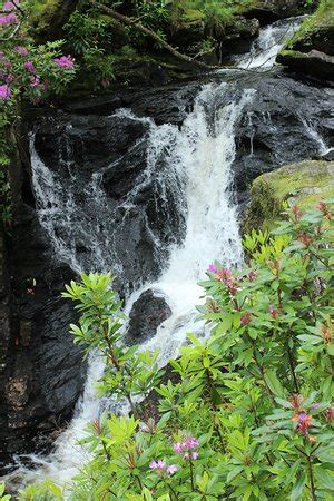 Arklet Falls (Inversnaid) - 2020 What to Know Before You Go (with ...