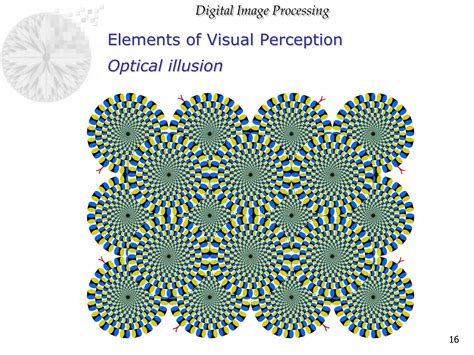 Image result for Visual Perception Definition