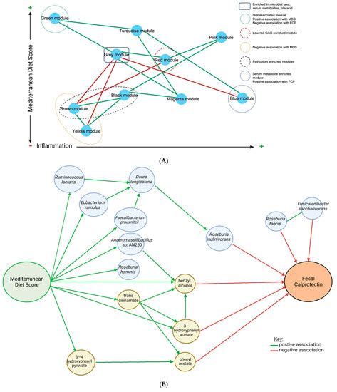 Weighted Gene Co-Expression Network Analysis Identifies a Functional ...
