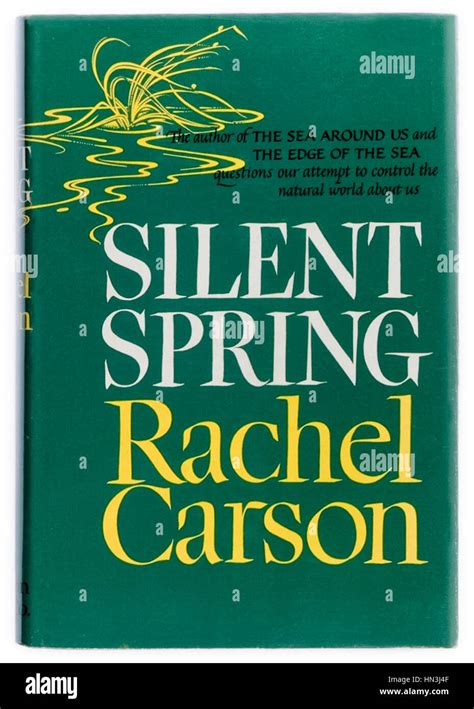 Silent Spring 的图像结果