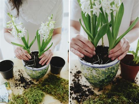 Image result for Using a Bulb Planter