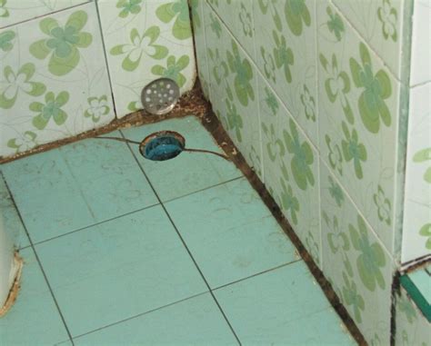 LUCKY HOUSE DORM & PRIVATE ROOMS (Ko Phi Phi Don) - Hostel Reviews ...