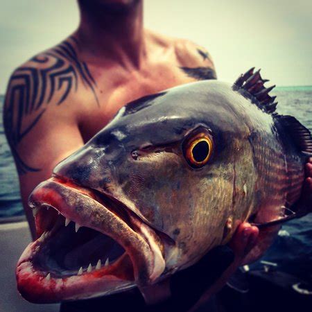 Skull Fishing (Male) - 2019 What to Know Before You Go (with Photos ...
