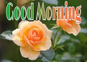 Image result for Beautiful Good Morning Summer