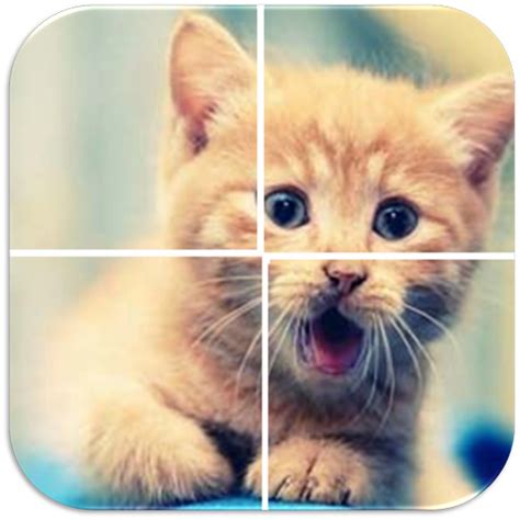 Cats Puzzle - App on Amazon Appstore