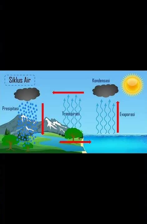 Image result for Rain Module Arduino Red