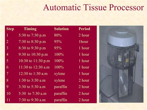 Tissue Processing in Histopathology 的图像结果