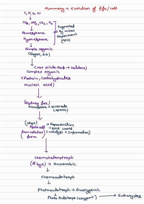 Image result for Evolution Class 12 Chap Animation