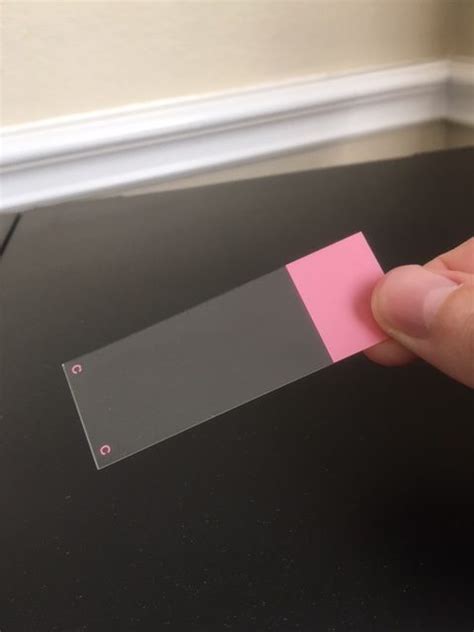 Image result for Microscope Slide Techniques