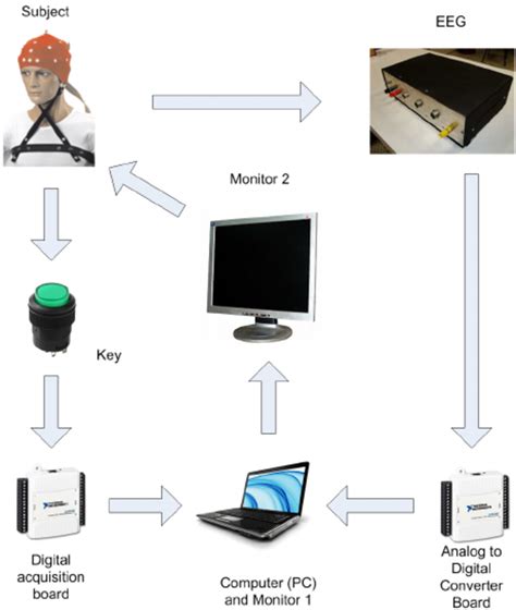 Block Design Experiment 的图像结果