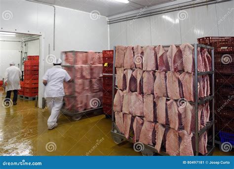 Inside the Meat Processing 的图像结果