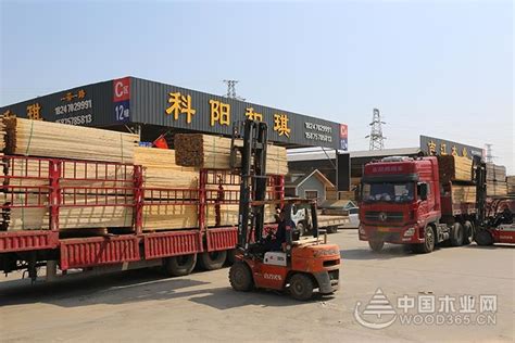 成都青白江：国际木材交易中心交易额4年年均增长率30%以上-木业网